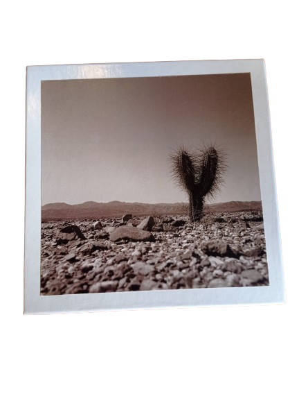 Caja de Regalo Surire